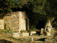 Ferienhaus Villa Petra Pisciotta